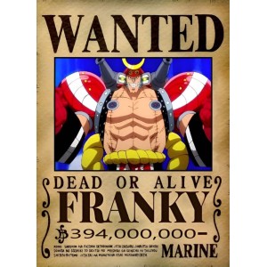 Placa Decorativa Onepiece WANTED Franky 